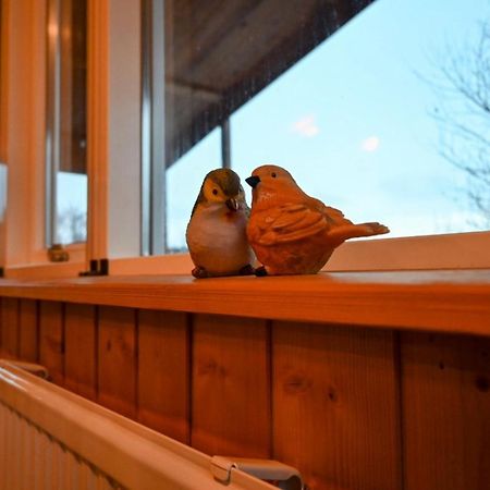Thingvellir Cabin/Chalet 塞尔福斯 外观 照片