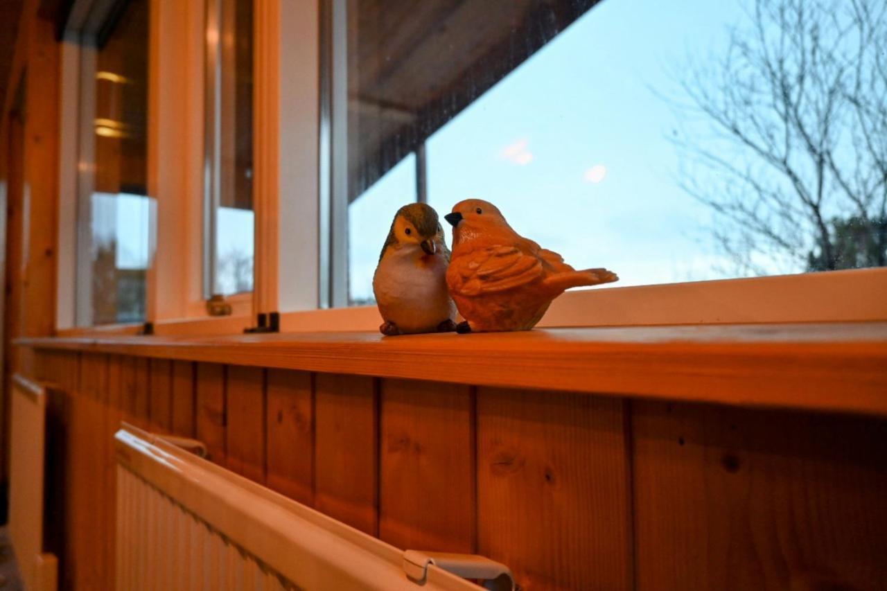 Thingvellir Cabin/Chalet 塞尔福斯 外观 照片