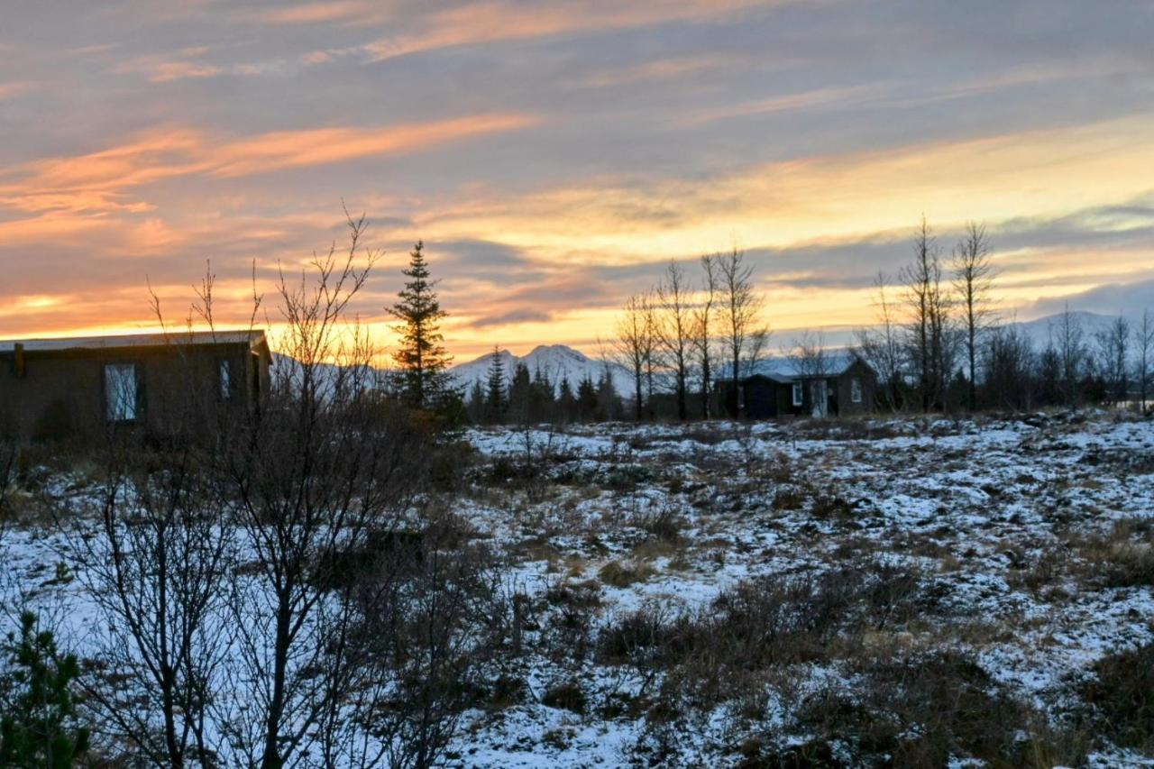 Thingvellir Cabin/Chalet 塞尔福斯 外观 照片