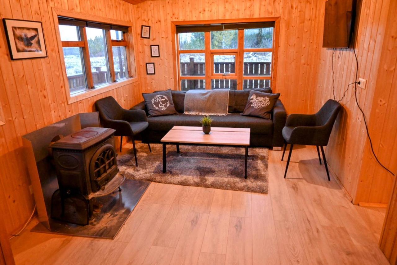 Thingvellir Cabin/Chalet 塞尔福斯 外观 照片
