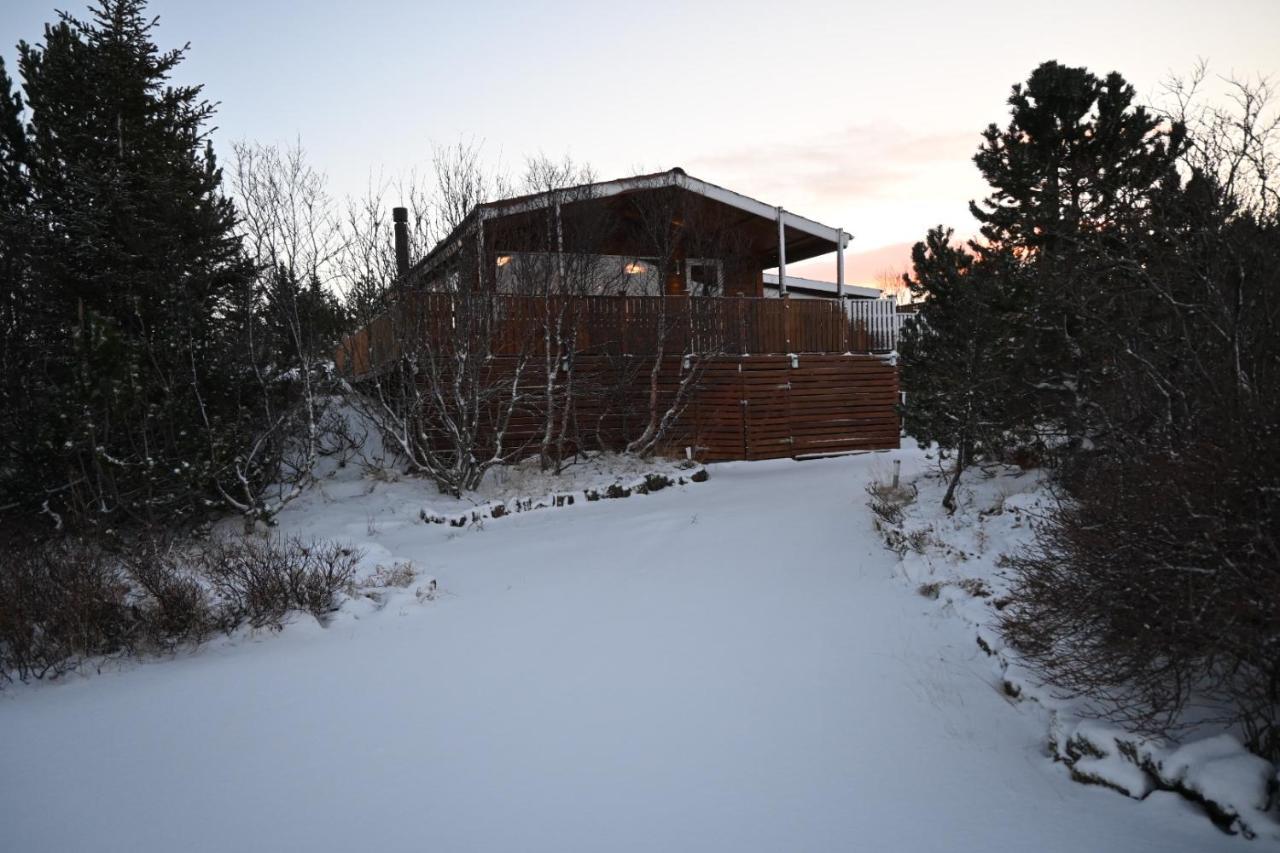 Thingvellir Cabin/Chalet 塞尔福斯 外观 照片
