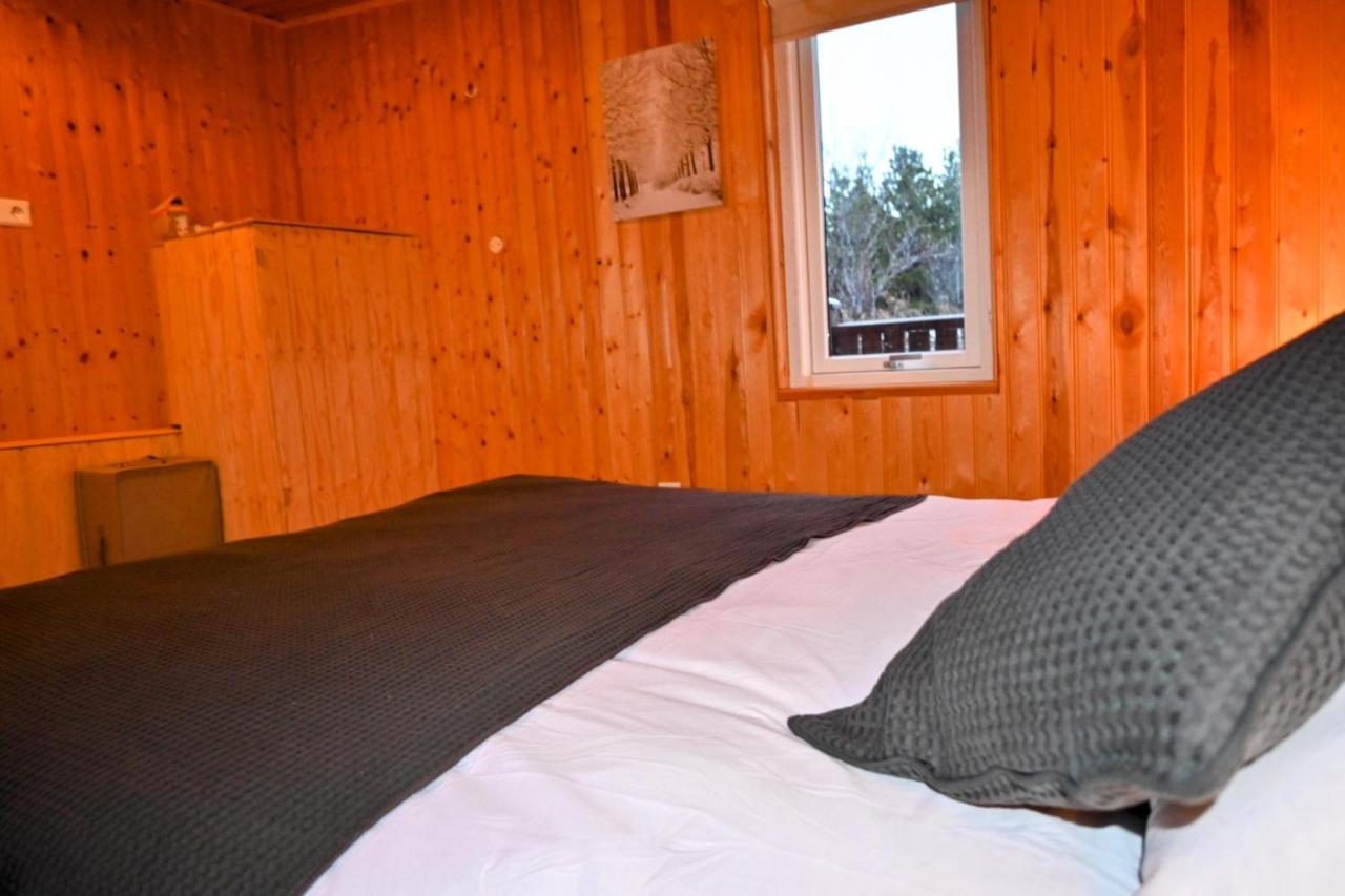 Thingvellir Cabin/Chalet 塞尔福斯 外观 照片
