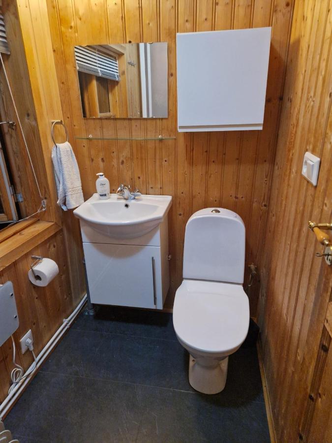 Thingvellir Cabin/Chalet 塞尔福斯 外观 照片